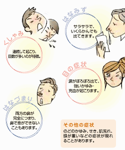 (2)花粉症の症状 くしゃみ、鼻水、鼻づまり、目、その他(喉・肌など)